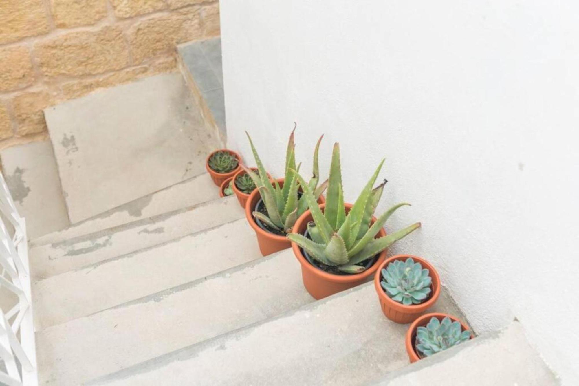 Authentic 1St Fl Apartment At The 3 Cities Marina Cospicua Экстерьер фото